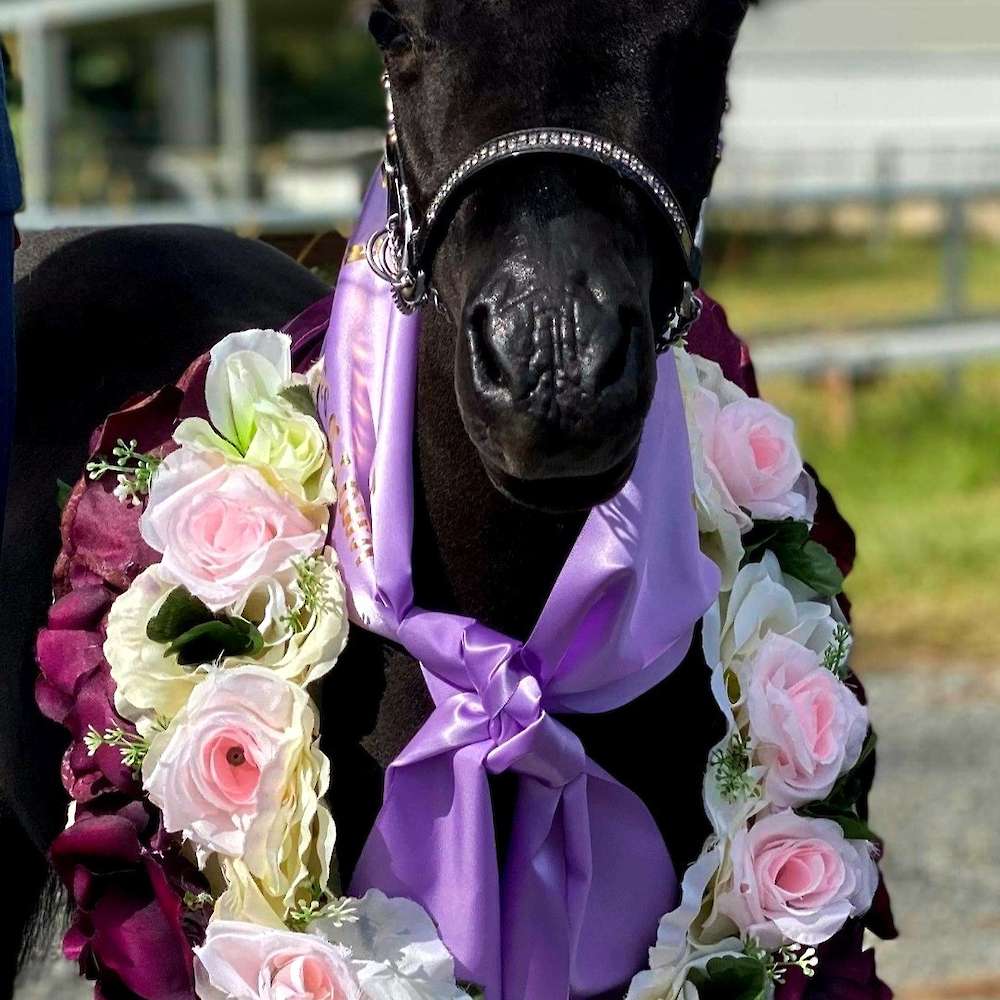 Almighty Icons Majestic Ballerina